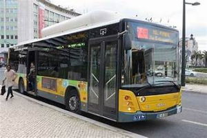 Portugal Bus Services
