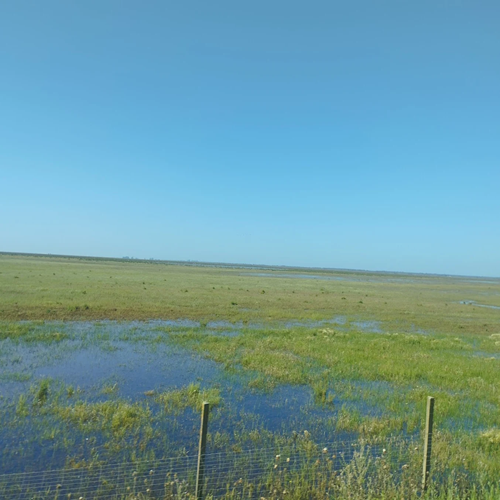 500x500 wetlands view donana park