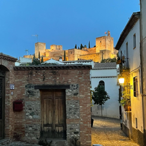 Half Day Private Tour – the Alhambra, Granada