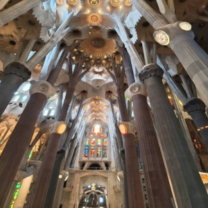 Private Tour  Barcelona: Sagrada Familia, Casa la Pedreira or Casa Batlló